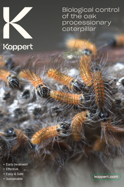 Oak processionary moth brochure