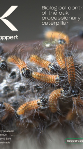 Oak processionary moth brochure