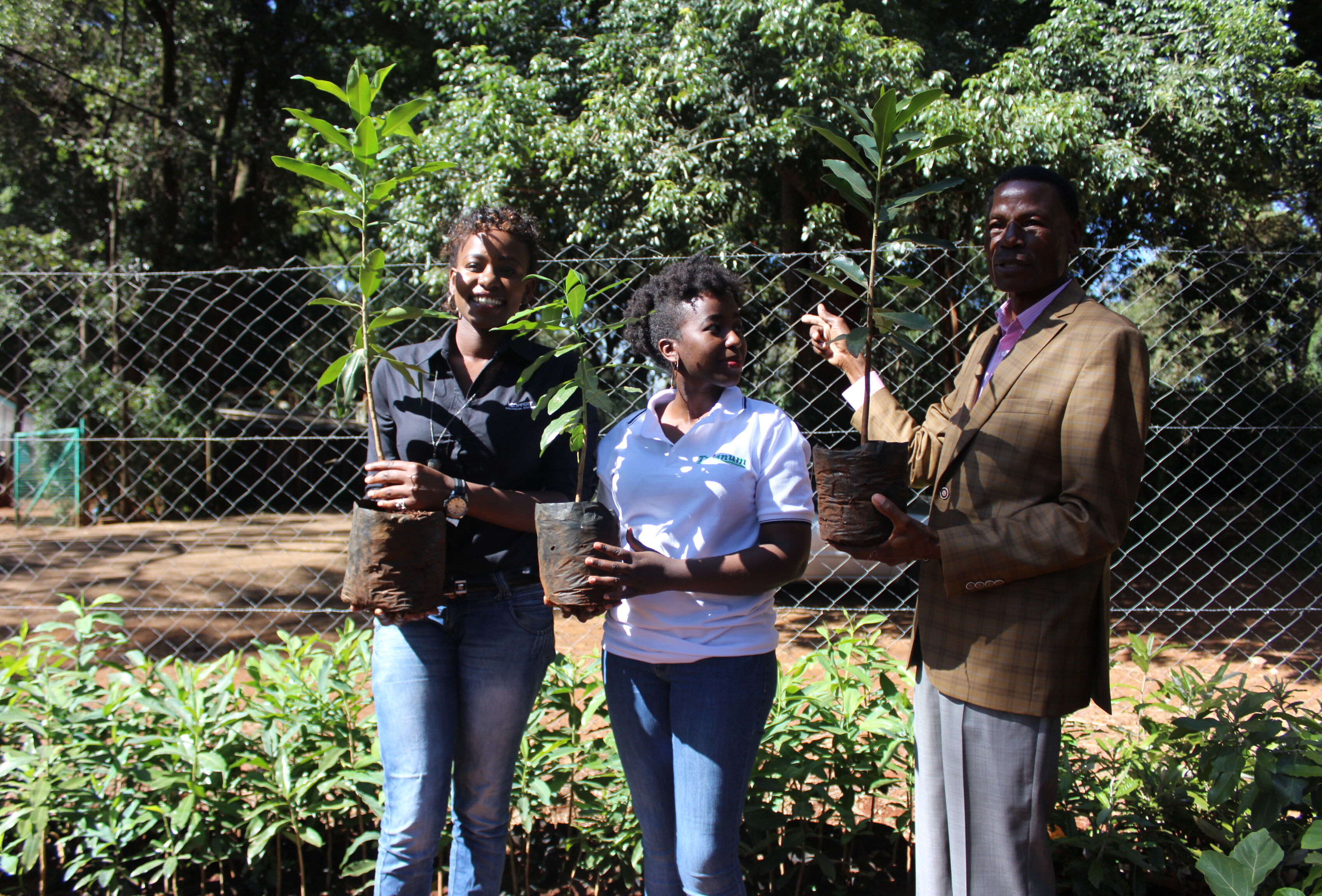 Koppert Kenya partners with Karura Forest for biological control in the urban forest