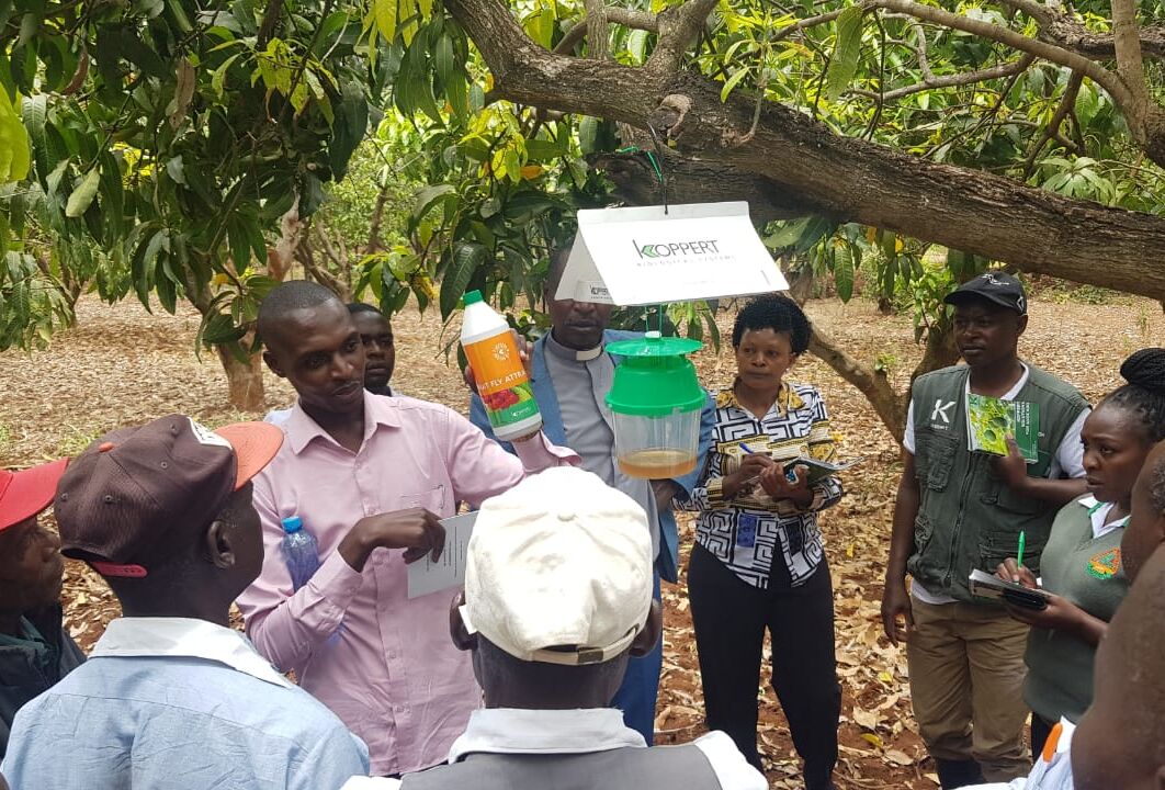 Empowering Mango Farmers in Embu: A Day of Sustainable Solutions