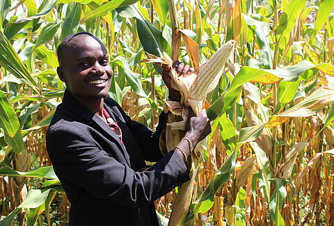 Panoramix -Revolutionizing Growing of Cereals