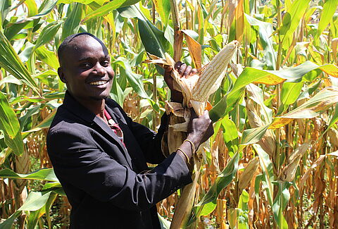 Panoramix -Revolutionizing Growing of Cereals