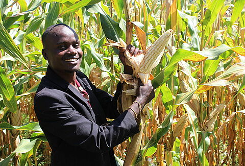 Panoramix -Revolutionizing Growing of Cereals