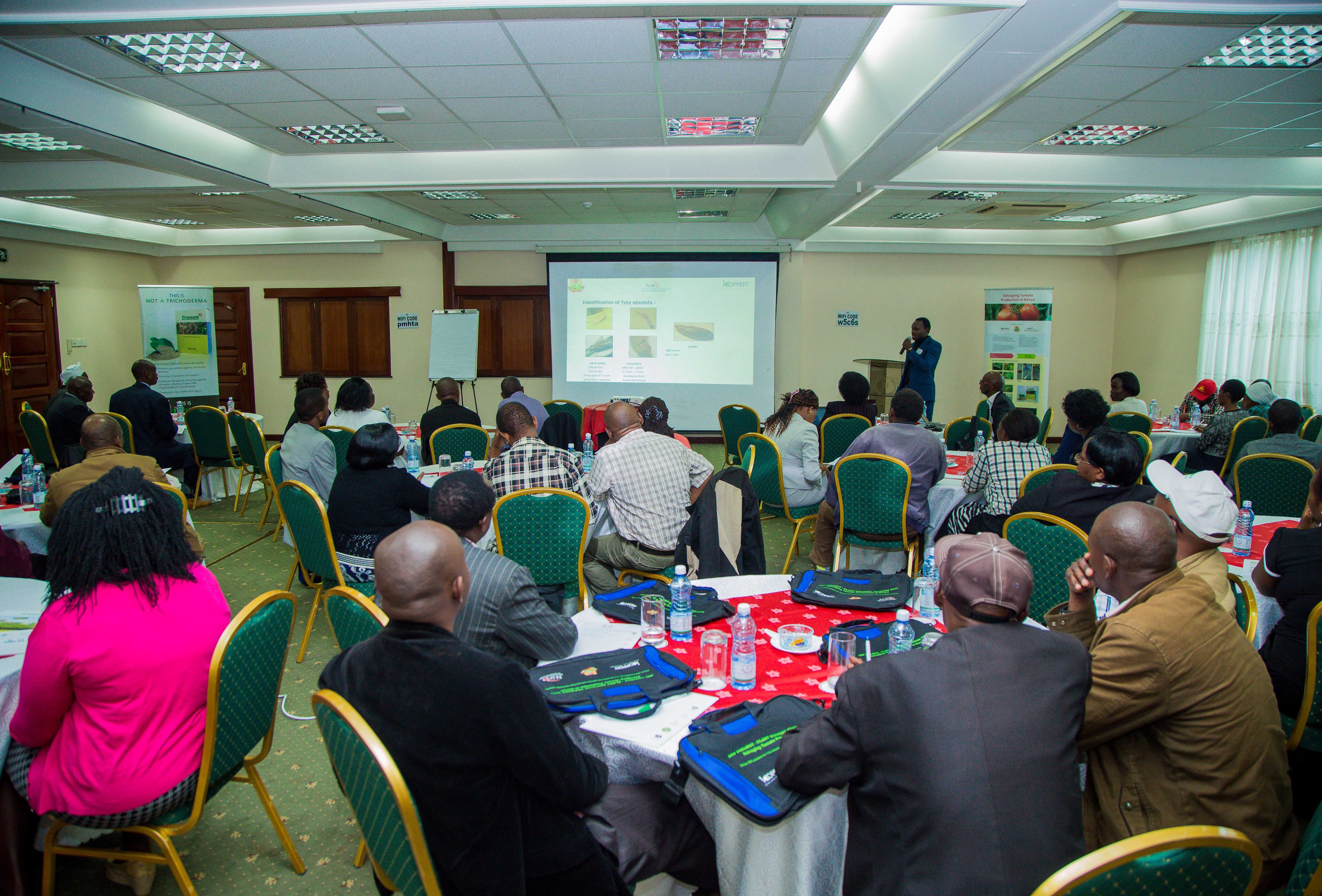 Looking for industry training? Koppert Kenya receives NITA certification