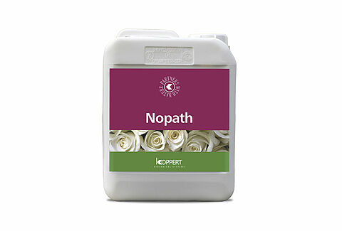 NoPath
