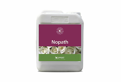 NoPath