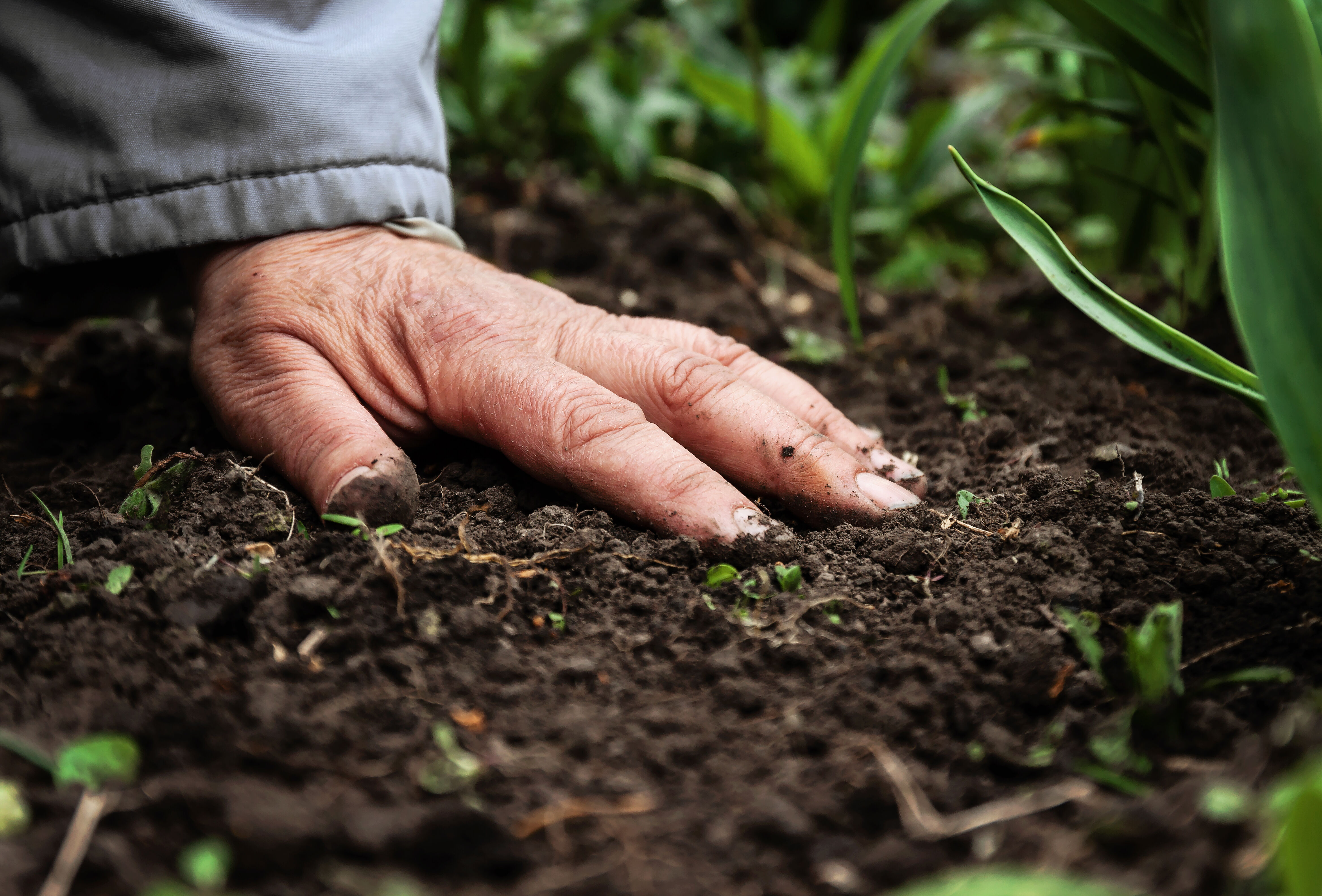 Nurturing soil and water for a sustainable tomorrow