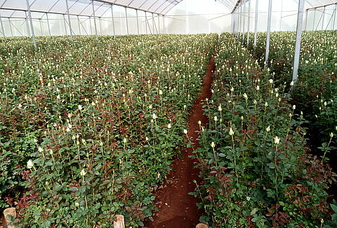 Are you getting value for your money?