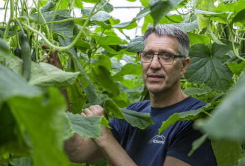 Spidex Vital lives up to its promises