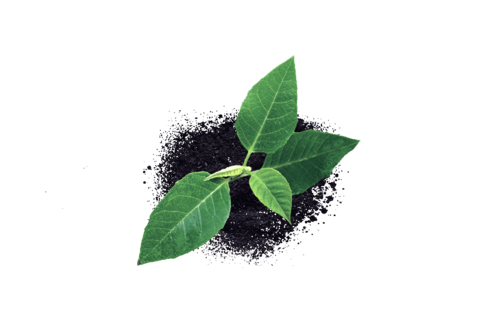 Plant growth promotion & crop resilience