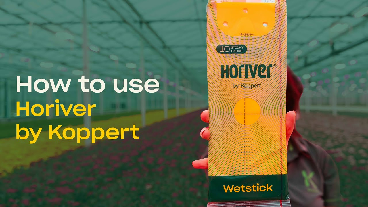How to use Horiver Sticky Traps