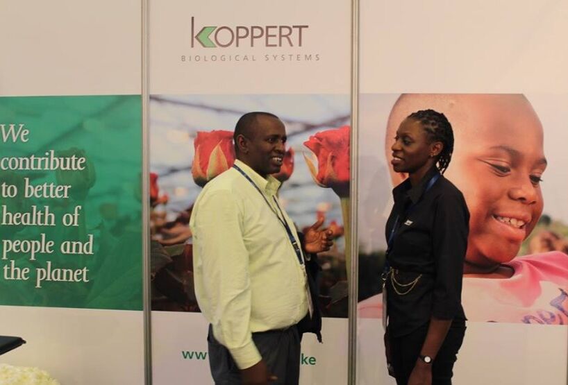 Koppert Kenya lightens up IFTEX 2016