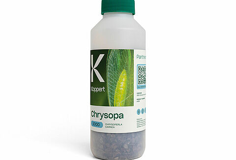 Inspired by Nature: new design, same trusted quality