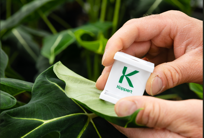 Biological crop protection: pest and disease control with minimal to no resistance risks