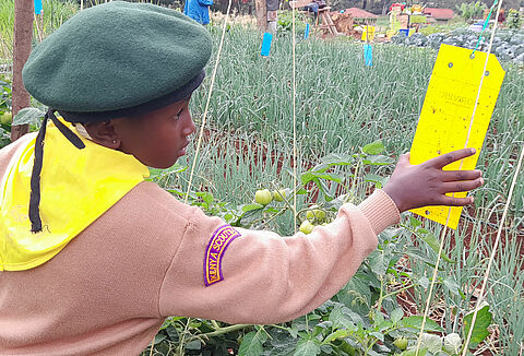 Nurturing Young Minds: Koppert's Partnership with 4K Clubs in Kenya