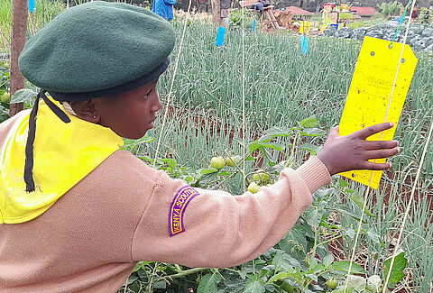 Nurturing Young Minds: Koppert's Partnership with 4K Clubs in Kenya