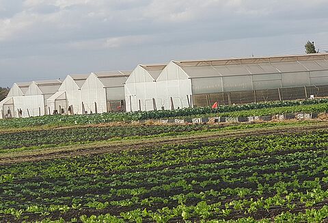 Koppert Invests in Latia Training Centre!