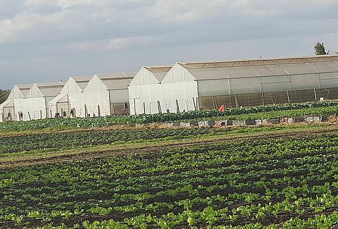 Koppert Invests in Latia Training Centre!