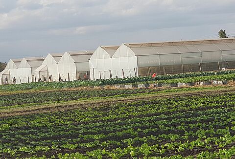 Koppert Invests in Latia Training Centre!